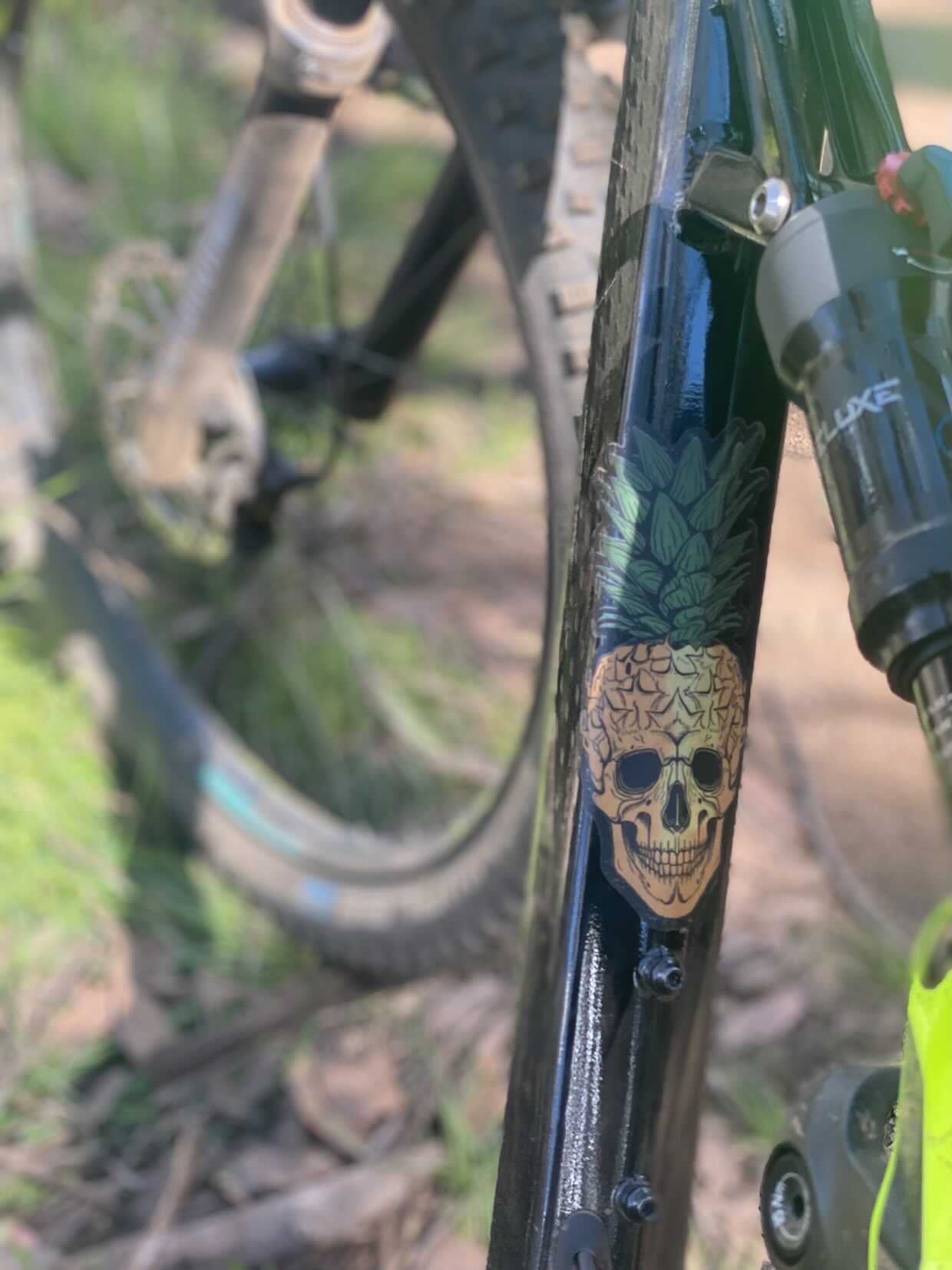 TPE Pineapple Skull premium sticker